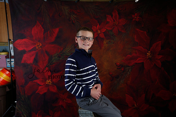 2020 Holiday Mini Session - Johnson
