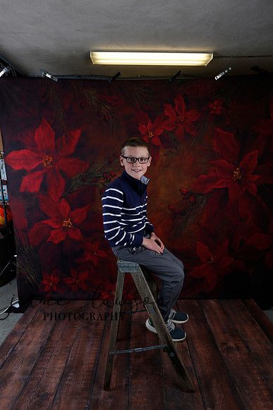 2020 Holiday Mini Session - Johnson