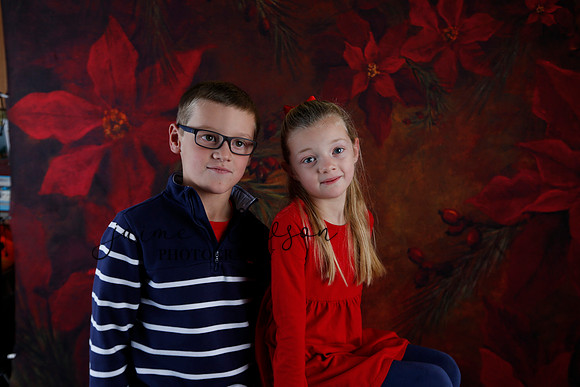 2020 Holiday Mini Session - Johnson