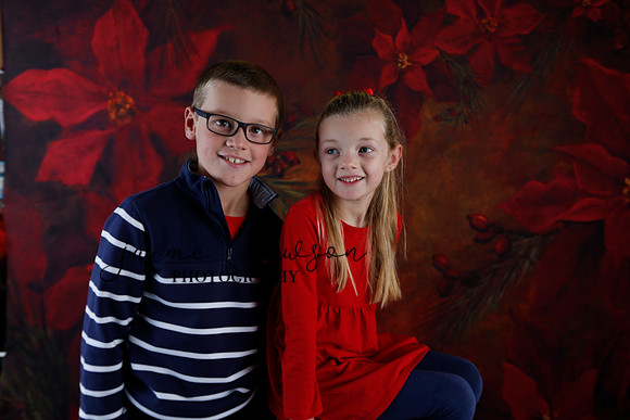 2020 Holiday Mini Session - Johnson