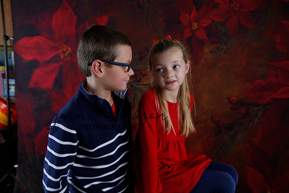 2020 Holiday Mini Session - Johnson