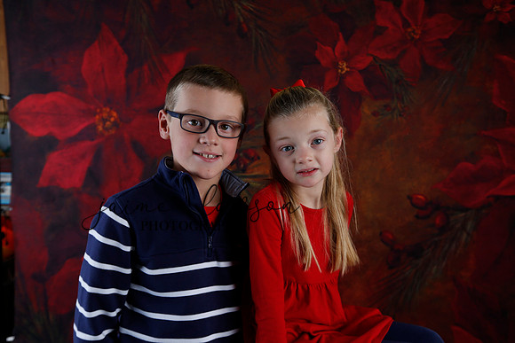 2020 Holiday Mini Session - Johnson