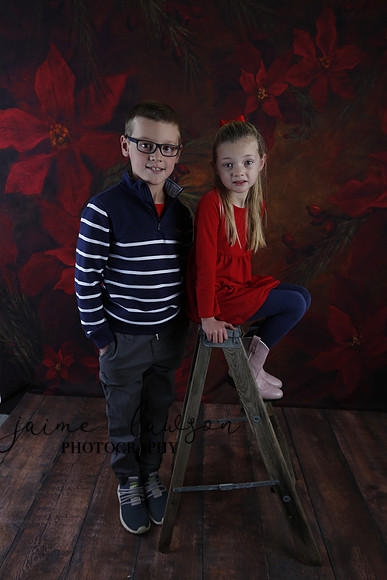 2020 Holiday Mini Session - Johnson