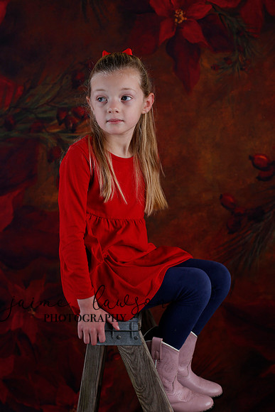 2020 Holiday Mini Session - Johnson