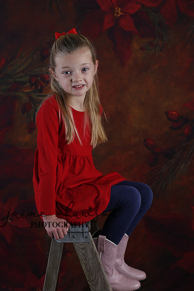 2020 Holiday Mini Session - Johnson