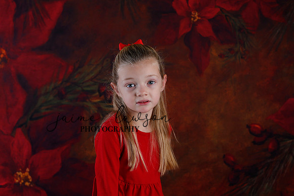 2020 Holiday Mini Session - Johnson