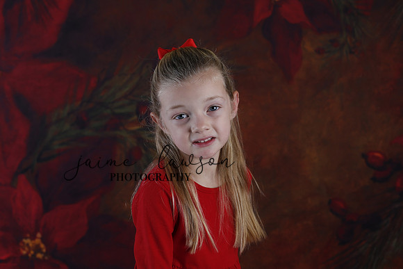2020 Holiday Mini Session - Johnson