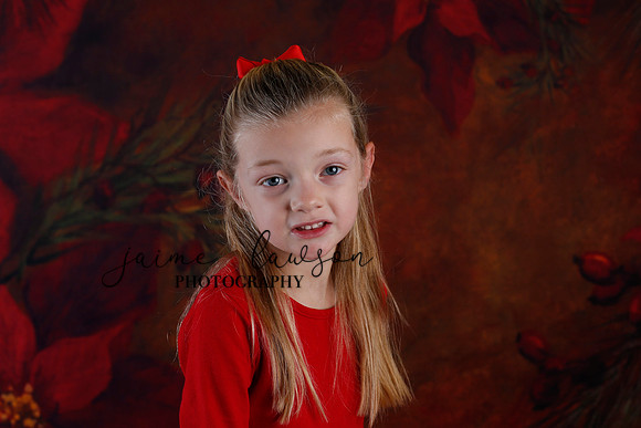 2020 Holiday Mini Session - Johnson