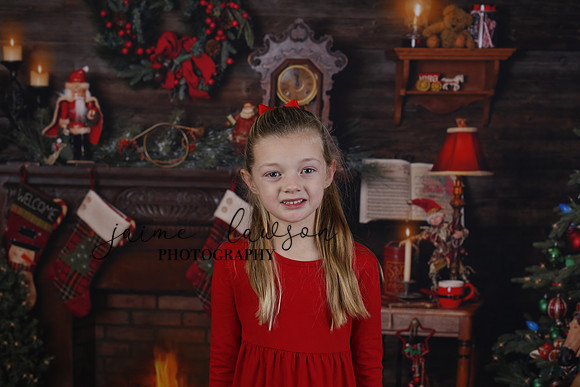 2020 Holiday Mini Session - Johnson