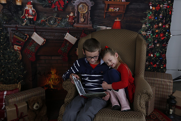 2020 Holiday Mini Session - Johnson