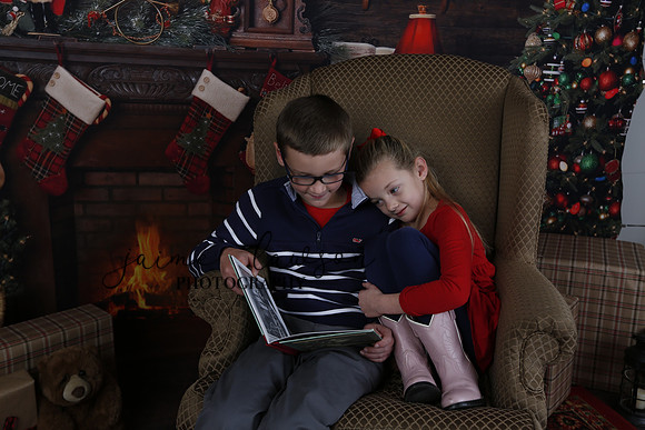 2020 Holiday Mini Session - Johnson