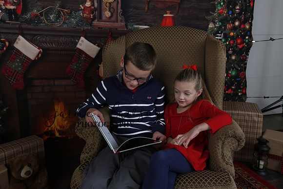 2020 Holiday Mini Session - Johnson
