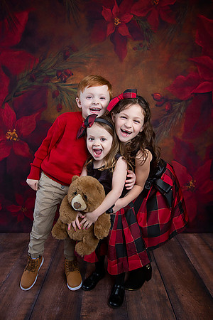 2020 Holiday Mini Session - Onuska
