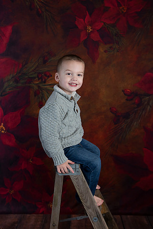 2020 Holiday Mini Session - DeNoia