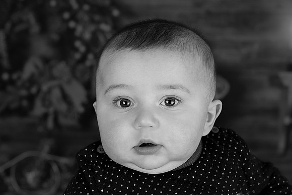 2020 Holiday Mini Session - DeNoia