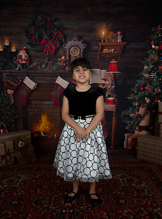 2020 Holiday Mini Session - Leibnitz