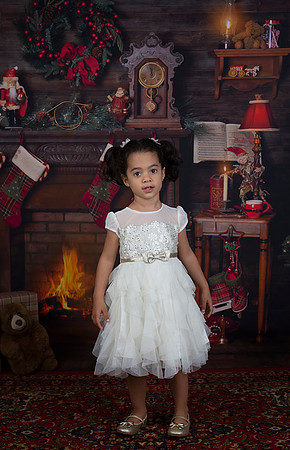 2020 Holiday Mini Session - Leibnitz