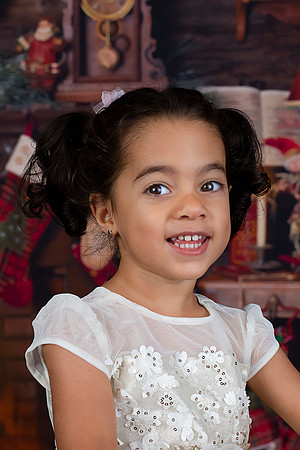 2020 Holiday Mini Session - Leibnitz