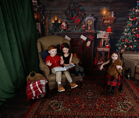 2020 Holiday Mini Session - Onuska