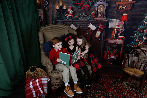 2020 Holiday Mini Session - Onuska