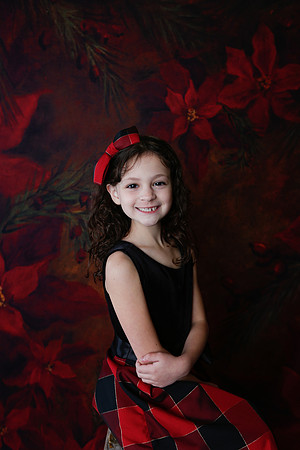 2020 Holiday Mini Session - Onuska