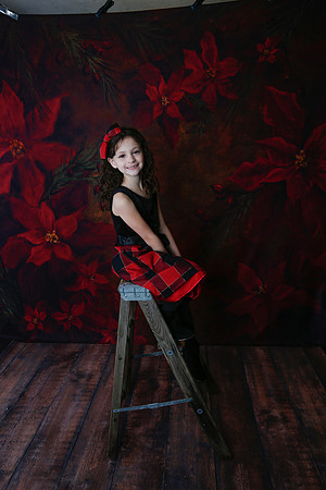 2020 Holiday Mini Session - Onuska