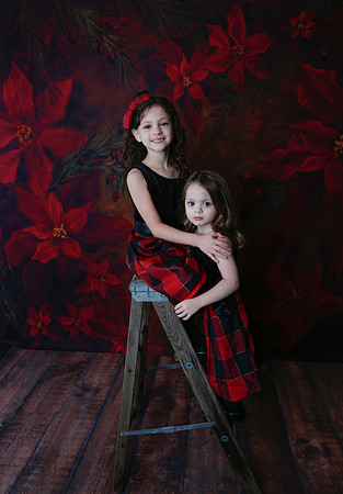 2020 Holiday Mini Session - Onuska