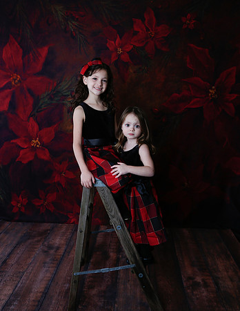 2020 Holiday Mini Session - Onuska