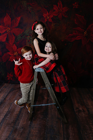 2020 Holiday Mini Session - Onuska