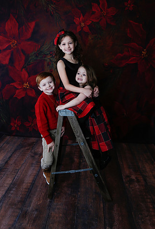 2020 Holiday Mini Session - Onuska