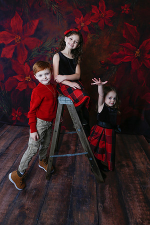 2020 Holiday Mini Session - Onuska