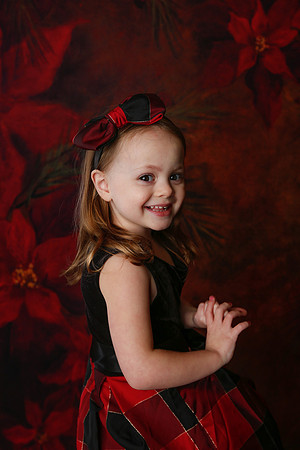 2020 Holiday Mini Session - Onuska