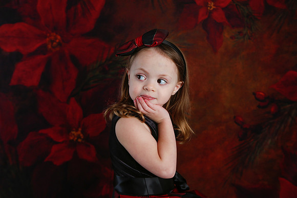 2020 Holiday Mini Session - Onuska