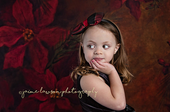 2020 Holiday Mini Session - Onuska