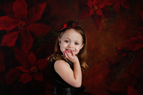 2020 Holiday Mini Session - Onuska