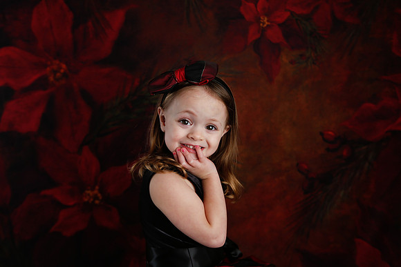 2020 Holiday Mini Session - Onuska