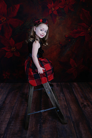 2020 Holiday Mini Session - Onuska