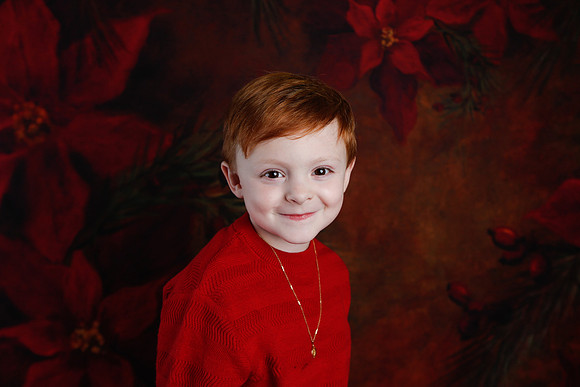 2020 Holiday Mini Session - Onuska