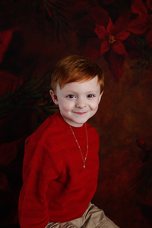 2020 Holiday Mini Session - Onuska