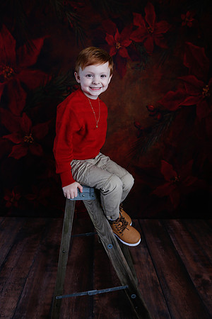 2020 Holiday Mini Session - Onuska