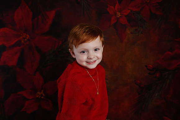 2020 Holiday Mini Session - Onuska