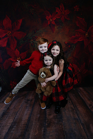 2020 Holiday Mini Session - Onuska