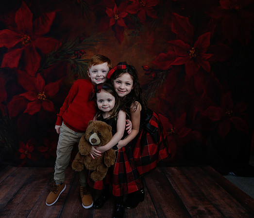 2020 Holiday Mini Session - Onuska