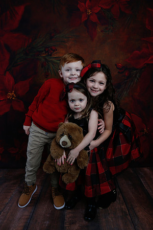 2020 Holiday Mini Session - Onuska