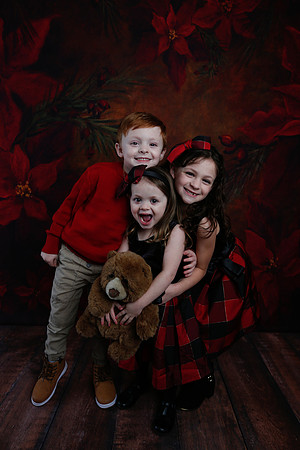 2020 Holiday Mini Session - Onuska