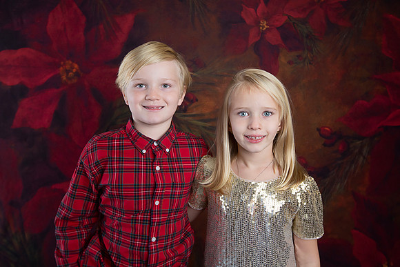2020 Holiday Mini Session - Sharkey