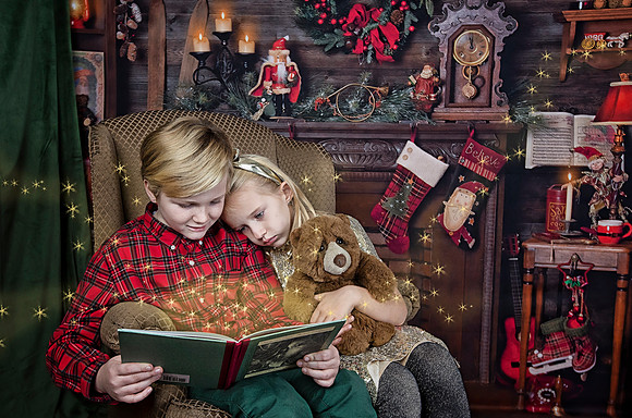 2020 Holiday Mini Session - Sharkey
