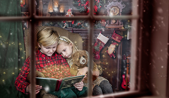 2020 Holiday Mini Session - Sharkey