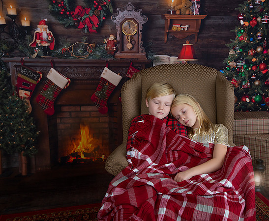 2020 Holiday Mini Session - Sharkey