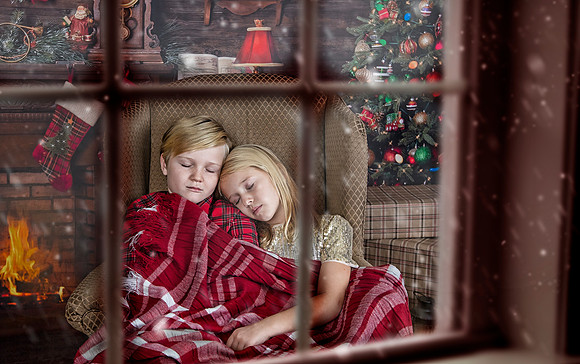 2020 Holiday Mini Session - Sharkey